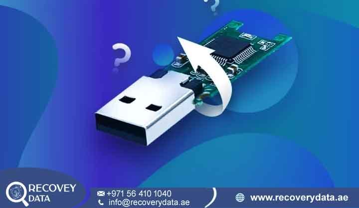 USB Recovery Palm Jumeirah