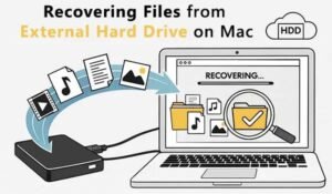 Recover deleted files from external hard drive untitled 1 copy